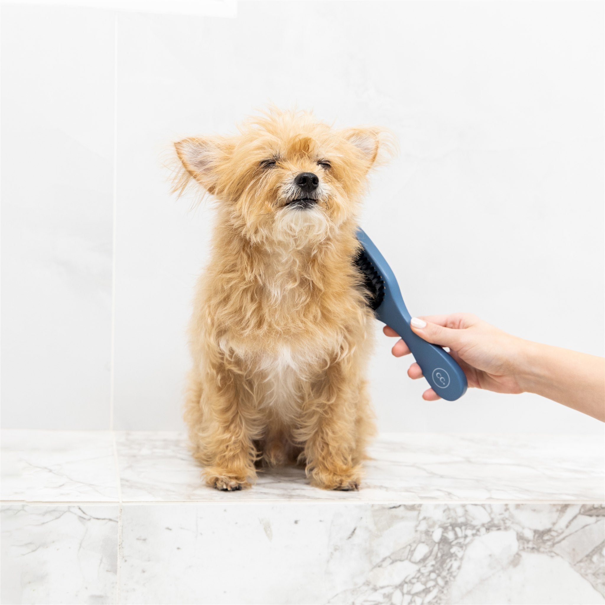 Cama Pet Brush