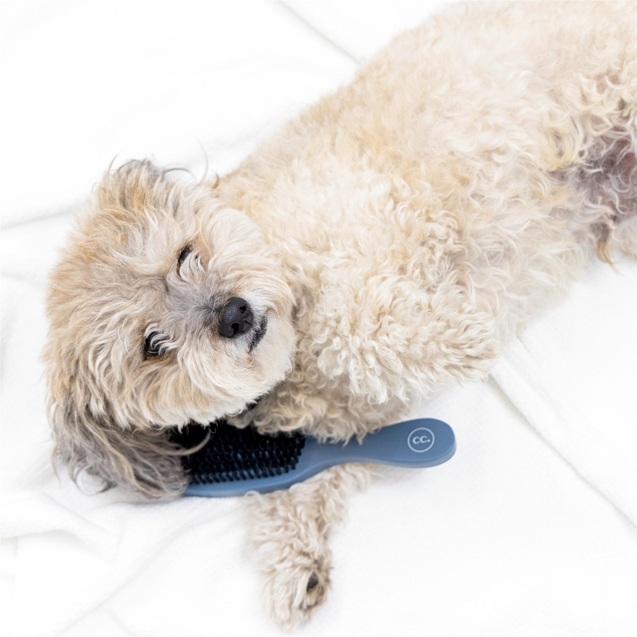 Cama Pet Brush