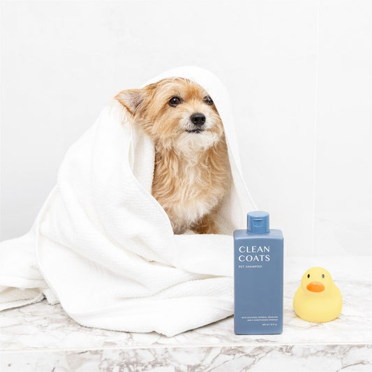 Cama Pet Shampoo