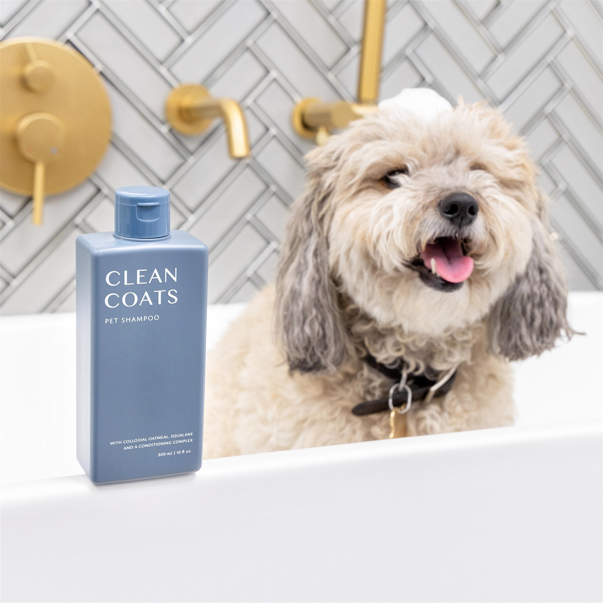 Cama Pet Shampoo