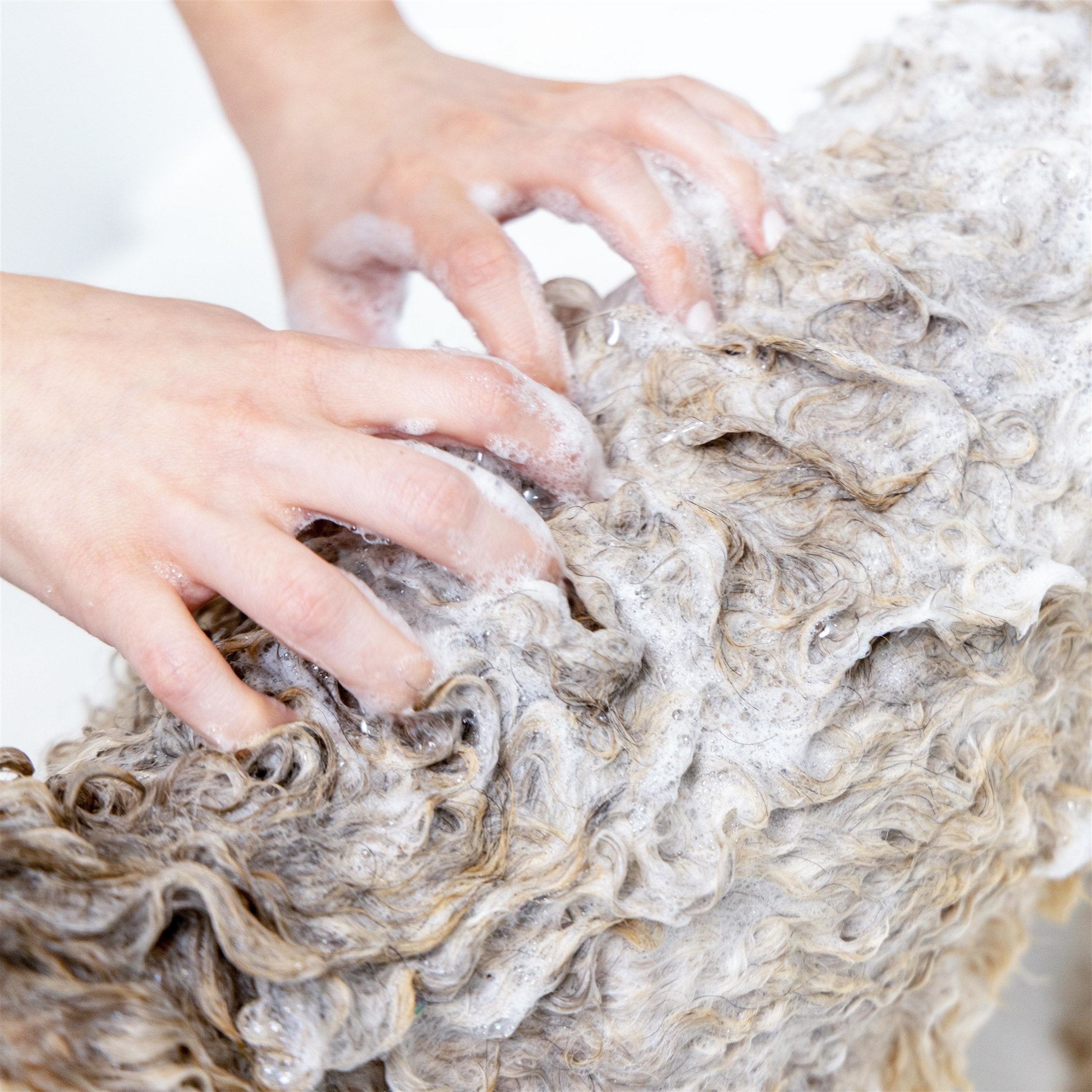 Cama Pet Shampoo